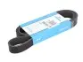 Фото Поликлиновый ремень DAYCO (7PK1516S) изображение 1
