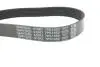 Фото Поліклиновий ремінь LEXUS ES, GS, IS C, IS II, IS III, RC, RX TOYOTA ALPHARD / VELLFIRE, CAMRY, CROWN, HIGHLANDER / KLUGER, PREVIA III, RAV 4 III, VENZA 2.5/3.0/3.5 09.03 DAYCO (7PK1550) зображення 4