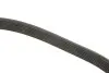 Фото Поліклиновий ремінь FIAT TALENTO LANCIA THEMA NISSAN NV300, NV400, QASHQAI II, X-TRAIL III OPEL MOVANO B, VIVARO B RENAULT ESPACE V, GRAND SCENIC III, GRAND SCENIC IV 1.6D-2.8 06.88 DAYCO (7PK1675) зображення 3