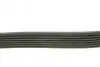 Фото Поліклиновий ремінь NISSAN INTERSTAR, PRIMASTAR, PRIMERA, TERRANO OPEL MOVANO A, VIVARO A RENAULT DUSTER, LAGUNA, LAGUNA II, LAGUNA III, MASTER II, TRAFIC II, VEL SATIS 1.9D-2.5D 12.97 DAYCO (7PK1790) зображення 2
