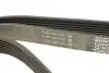 Фото Поліклиновий ремінь NISSAN INTERSTAR, PRIMASTAR, PRIMERA, TERRANO OPEL MOVANO A, VIVARO A RENAULT DUSTER, LAGUNA, LAGUNA II, LAGUNA III, MASTER II, TRAFIC II, VEL SATIS 1.9D-2.5D 12.97 DAYCO (7PK1790) зображення 3