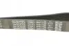 Фото Поліклиновий ремінь NISSAN INTERSTAR, PRIMASTAR, PRIMERA, TERRANO OPEL MOVANO A, VIVARO A RENAULT DUSTER, LAGUNA, LAGUNA II, LAGUNA III, MASTER II, TRAFIC II, VEL SATIS 1.9D-2.5D 12.97 DAYCO (7PK1790) зображення 4