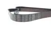 Фото Поліклиновий ремінь LAND ROVER DEFENDER, DISCOVERY II 2.5D 06.98-02.16 DAYCO (7PK1800) зображення 4