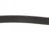 Фото Поліклиновий ремінь BMW 1 (E82), 1 (E88), 3 (E90), 3 (E91), 3 (E92), 3 (E93) LAND ROVER DISCOVERY I SUBARU LEGACY V, OUTBACK 2.0D-4.0 06.89 DAYCO (7PK1853) зображення 2