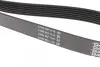 Фото Поліклиновий ремінь BMW 1 (E82), 1 (E88), 3 (E90), 3 (E91), 3 (E92), 3 (E93) LAND ROVER DISCOVERY I SUBARU LEGACY V, OUTBACK 2.0D-4.0 06.89 DAYCO (7PK1853) зображення 4