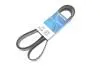 Фото Ремінь генератора MB M-class (W163) 4.0 CDI 01-05 OM628/Jeep Grand Cherokee 5.2i 92-99 DAYCO (7PK2275) зображення 2