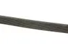 Фото Поліклиновий ремінь FORD TRANSIT 2.4D 04.06-08.14 DAYCO (7PK2682) зображення 3