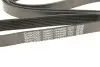 Фото Поліклиновий ремінь FORD TRANSIT 2.4D 04.06-08.14 DAYCO (7PK2682) зображення 5