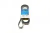 Фото Ремінь генератора Ford Transit 2.4 TDCI 00-06 DAYCO (7PK2711) зображення 1