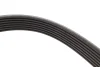 Фото Ремінь генератора Ford Transit 2.4 DI-2.4TDCI 00-06 DAYCO (7PK2876) зображення 2