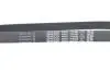 Поліклиновий ремінь DAYCO (7PK880) зображення 4