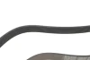Фото Ремінь генератора BMW 5 (G30/F90)/X3 (G01/F97) 16- B47 (8PK1162) DAYCO (8PK1162H) зображення 3