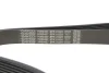 Фото Ремінь генератора BMW 5 (G30/F90)/X3 (G01/F97) 16- B47 (8PK1162) DAYCO (8PK1162H) зображення 4