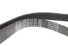 Ремень генератора поликлиновый DAYCO (8PK1230) изображение 4