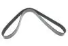 Ремінь генератора MB SLR (R199) 04- M155 (8PK1240) DAYCO (8PK1240HD) зображення 1