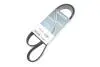 Ремінь генератора MB SLR (R199) 04- M155 (8PK1240) DAYCO (8PK1240HD) зображення 2
