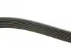 Фото Ремень генератора поликлиновый DAYCO (8PK1295) изображение 2