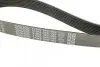 Фото Ремень генератора поликлиновый DAYCO (8PK1295) изображение 4