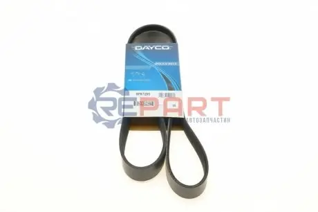 Ремень генератора поликлиновый DAYCO 8PK1295 Купить в Украине