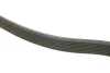 Поліклиновий ремінь (8PK1300) VOLVO 8700, 9400, B7 D7A230-D7E320 01.98 DAYCO (8PK1300HD) зображення 3