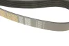 Поліклиновий ремінь (8PK1300) VOLVO 8700, 9400, B7 D7A230-D7E320 01.98 DAYCO (8PK1300HD) зображення 4