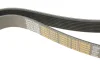 Поліклиновий ремінь (8PK1300) VOLVO 8700, 9400, B7 D7A230-D7E320 01.98 DAYCO (8PK1300HD) зображення 5