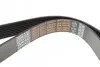 Фото Ремінь генератора MB Atego/Axor/Econic/Cito 98 DAYCO (8PK1365HD) зображення 2