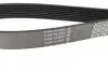 Фото Ремінь генератора MB Atego/Axor/Econic/Cito 98 DAYCO (8PK1365HD) зображення 3