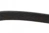 Фото Ремінь генератора MB Atego/Axor/Econic/Cito 98 DAYCO (8PK1365HD) зображення 4