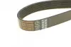 Фото Ремінь генератора MB Vario/Atego/Atego 2 96- OM904 DAYCO (8PK1420HD) зображення 3