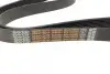 Фото Ремінь генератора MB Vario/Atego/Atego 2 96- OM904 DAYCO (8PK1425HD) зображення 3