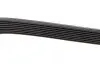Фото Ремінь генератора MB Vario/Atego/Atego 2 96- OM904 DAYCO (8PK1425HD) зображення 4