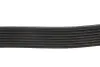 Фото Поліклиновий ремінь BMW 5 (F10), 5 (F11), 5 GRAN TURISMO (F07), 6 (F12), 6 (F13), 6 GRAN COUPE (F06), 7 (F01, F02, F03, F04), X5 (E70), X5 (F15, F85), X6 (E71, E72) 3.0 01.08-07.19 DAYCO (8PK1478) зображення 4