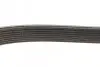 Ремінь генератора Iveco EuroCargo/MB Atego 3 3.9-7.7 00 DAYCO (8PK1691HD) зображення 3