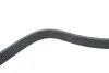 Фото Ремінь генератора MB Vario/Atego 2/LK/LN 2 96- OM 904 DAYCO (8PK1795HD) зображення 3