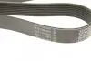 Ремінь генератора MB Atego 3/Actros 11- OM936/OM471 DAYCO (8PK2317HD) зображення 6
