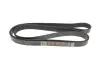 Ремінь генератора VW LT 28-35 2.5 SDI 96-06 (8PK2482) DAYCO (8PK2482HD) зображення 4