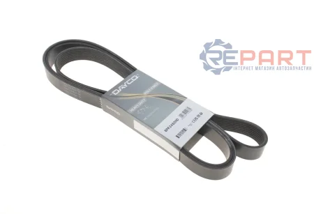 Ремінь генератора VW LT 28-35 2.5 SDI 96-06 (8PK2482) DAYCO 8PK2482HD