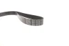 Фото Поліклиновий ремінь JEEP GRAND CHEROKEE II 3.1D 04.99-12.01 DAYCO (8PK2490) зображення 4