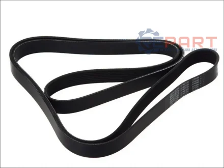 Дорожный пас DAYCO 8PK2555HD