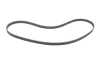 Фото Ремінь ГРМ ALFA ROMEO 155 FIAT COUPE, CROMA, TIPO LANCIA DEDRA, DELTA I, DELTA II, KAPPA, THEMA 2.0 05.88-10.01 DAYCO (94491) зображення 5