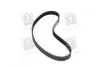 Фото Ремінь ГРМ FIAT REGATA HONDA ACCORD II, ACCORD III, CIVIC V, CIVIC VI, PRELUDE II ROVER 400 II 1.4-2.0 09.83-02.01 DAYCO (94618) зображення 4