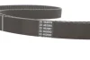 Ремень ГРМ DAYCO (94866) изображение 4