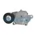 Натяжник ременя генератора Citroen/Peugeot/Ford 1.4HDi/1.6TDCi 01- APV1076