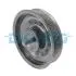 Фото Ролик поліклинового ременя HYUNDAI ACCENT II, ELANTRA III, GETZ, HIGHWAY, IX35, MATRIX, SANTA FÉ I, SANTA FÉ II, SANTA FÉ III, SONATA V, TRAJET, TUCSON KIA CARENS I 1.5D/2.0D/2.2D 03.01-09.20 DAYCO (APV2793) зображення 1