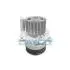Помпа води Audi A3-A6/Skoda Octavia/VW Golf/Passat 2.0TDI 05-10/Mitsubishi Lancer 2.0 DI-D 08- DP064