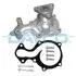 Помпа води Ford C-Max II/Focus III/Mondeo V/Fiesta/Transit Courier 1.0 EcoBoost/1.1 12- (R/B)(6 лоп) DP386