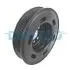 Шків колінчастого валу AUDI A3, A4 B6 SEAT IBIZA IV VW GOLF V, JETTA III, MULTIVAN T5, PASSAT B6, POLO IV, TRANSPORTER T5 1.6-2.0CNG 08.00-08.15 DAYCO (DPV1109) зображення 1