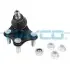 Фото Опора кульова (передня/знизу/R) Audi A1 10-/Seat Ibiza 02-15/Toledo 12-/Skoda Fabia 14-/VW Polo 01 DAYCO (DSS2557) зображення 1