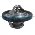Фото Термостат Ford Fusion/Fiesta IV-VI/Focus I-III 1.2-1.6 95- (82˚C) DAYCO (DT1050V) зображення 1